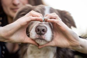 Marine PEQUIN - PHOTOGRAPHY QLM